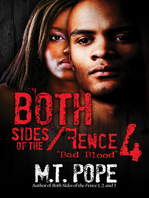 cover image of Both Sides of the Fence 4